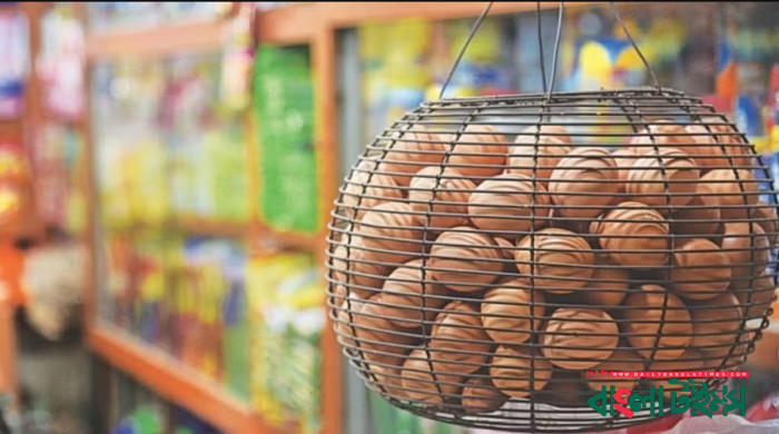 ১৫টি পয়েন্টে কম দামে বিক্রি হবে মাংস ও ডিম